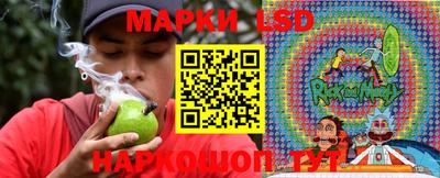 индика Ливны