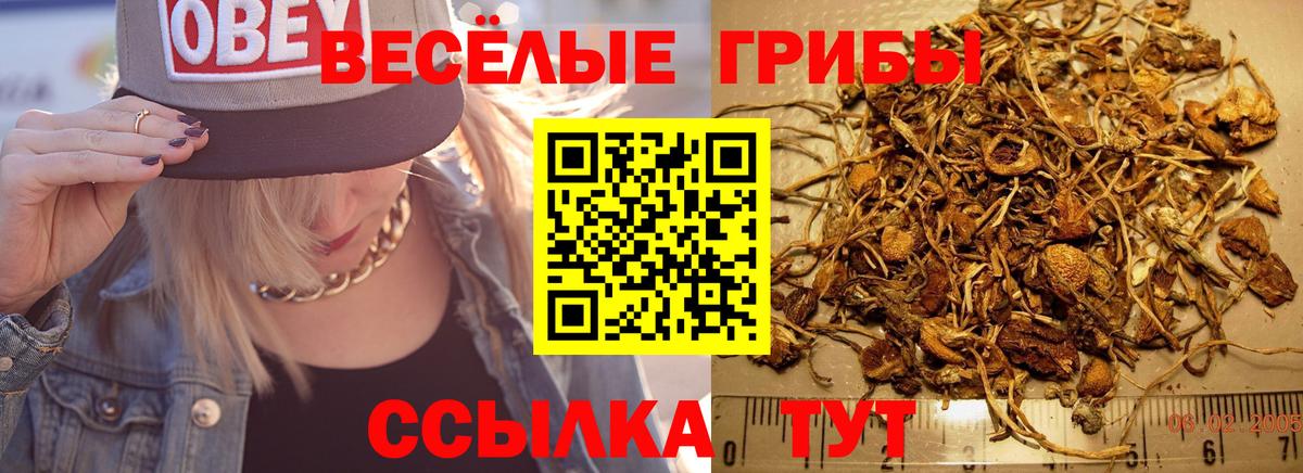 Галлюциногенные грибы ЛСД Донской